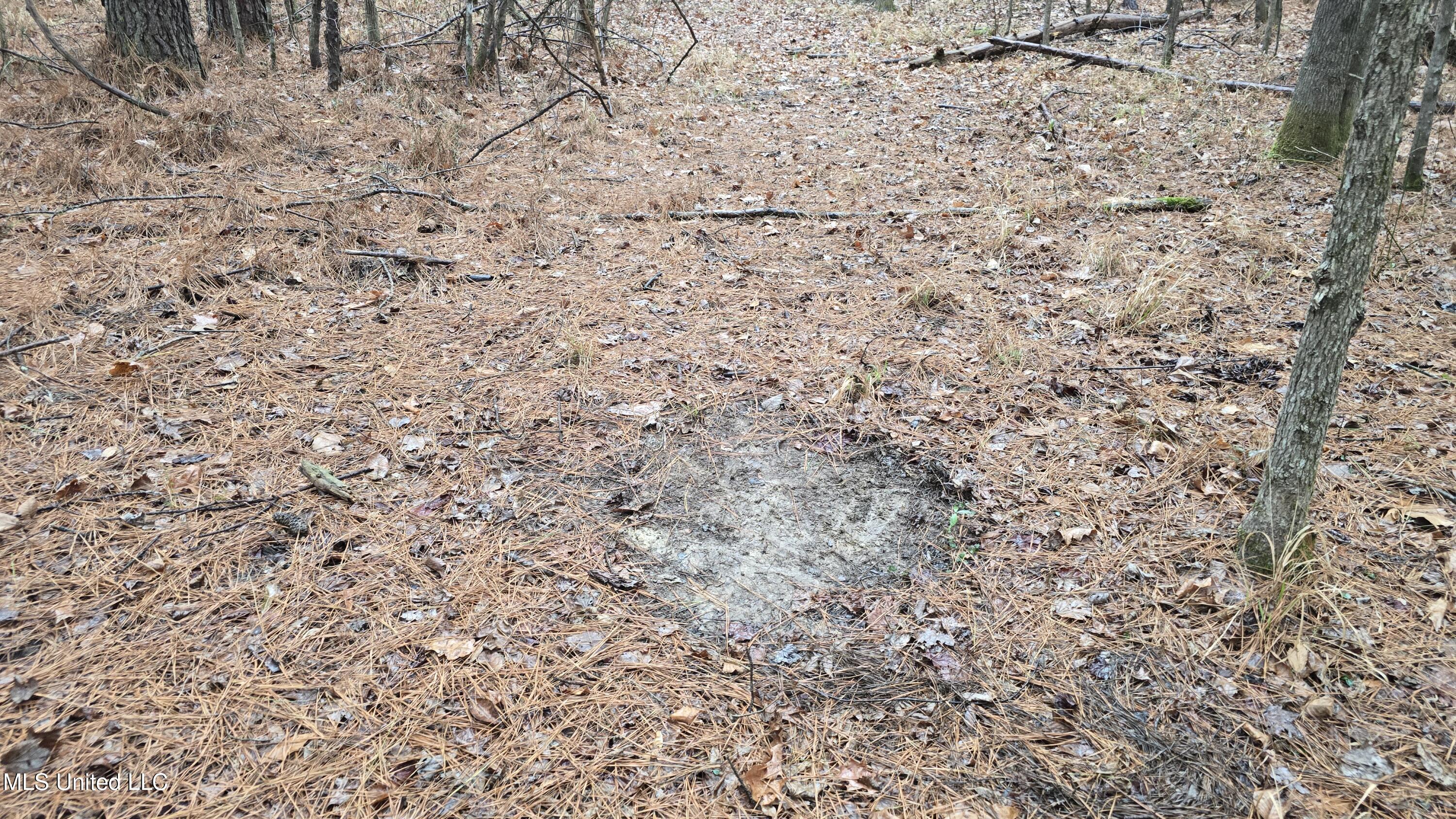 Brown Road Starkville, MS 39759 - Photo 11 of 43 20260114_115039