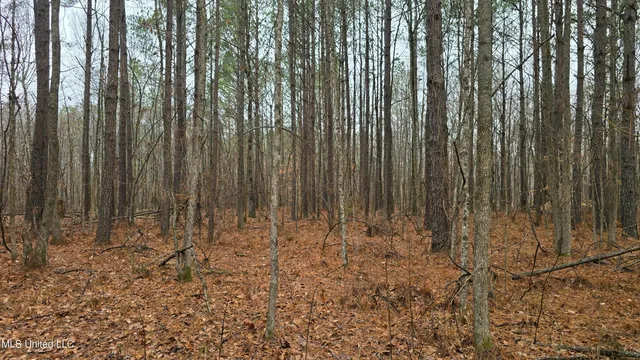 $206,000 | Brown Road, Starkville, MS 39759