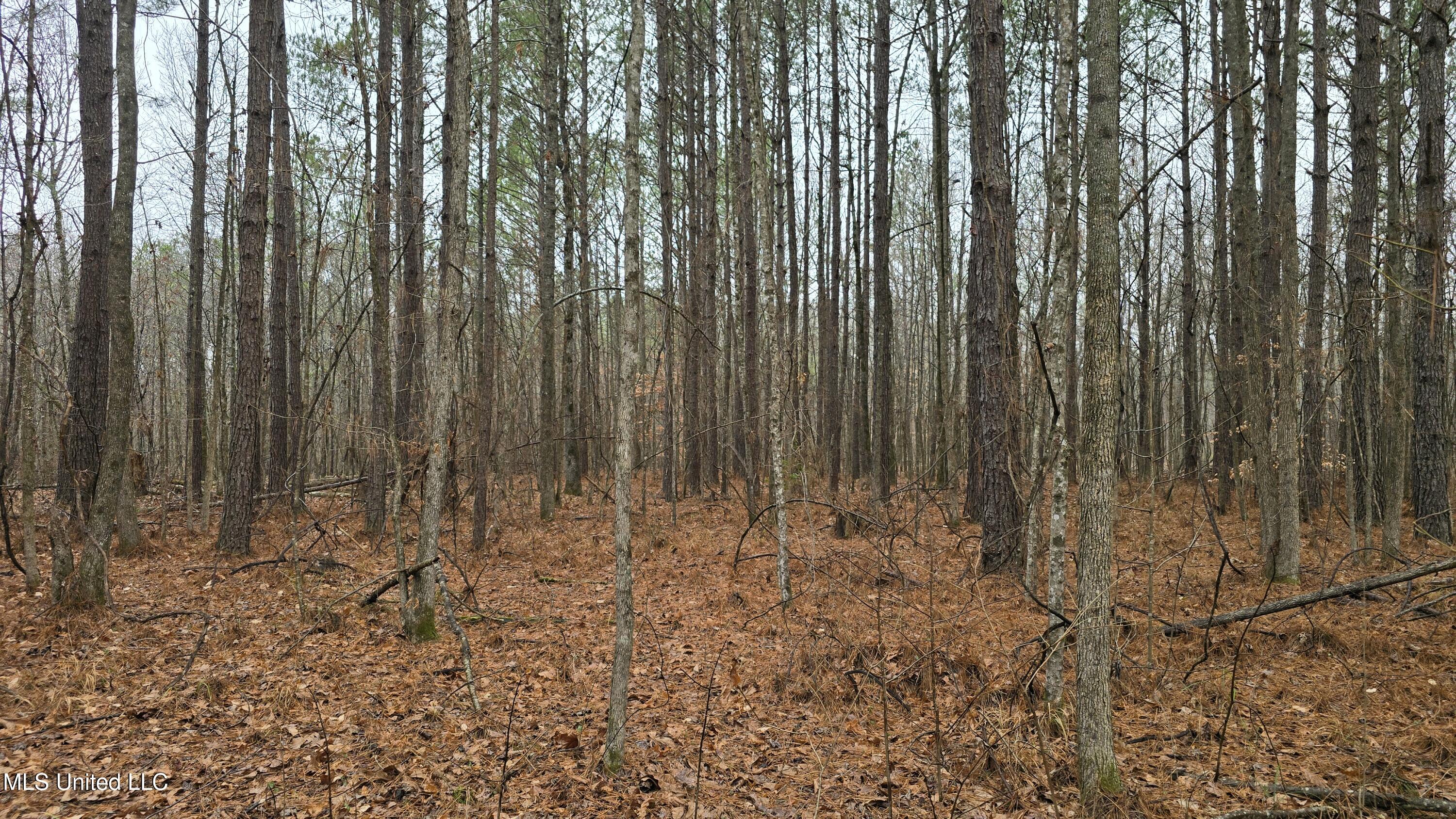 Brown Road Starkville, MS 39759 - Photo 12 of 43 20260114_115644