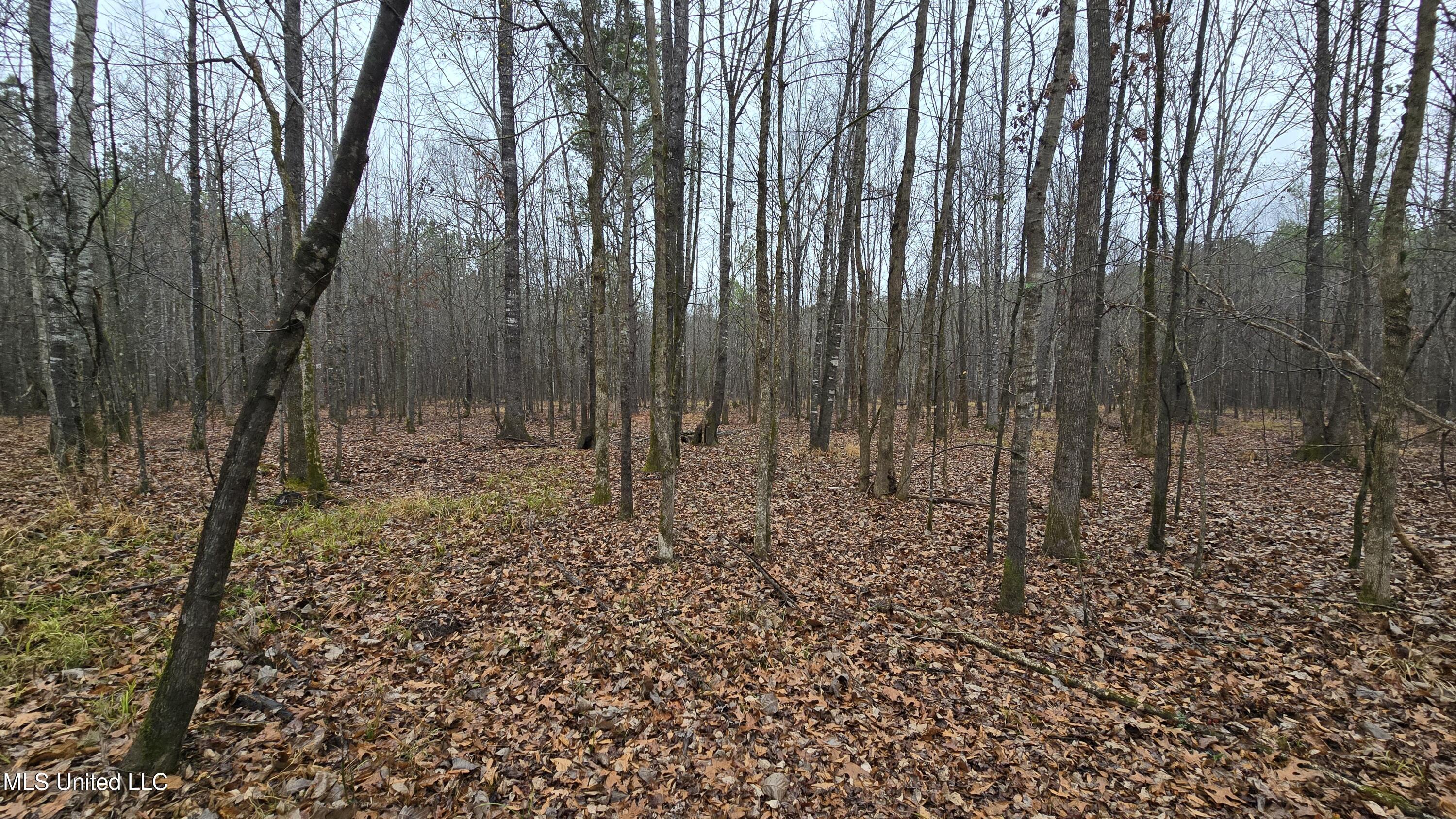 Brown Road Starkville, MS 39759 - Photo 14 of 43 20260114_120326