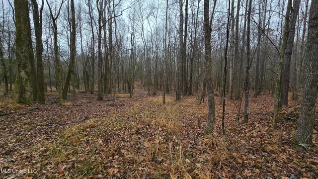 $206,000 | Brown Road, Starkville, MS 39759