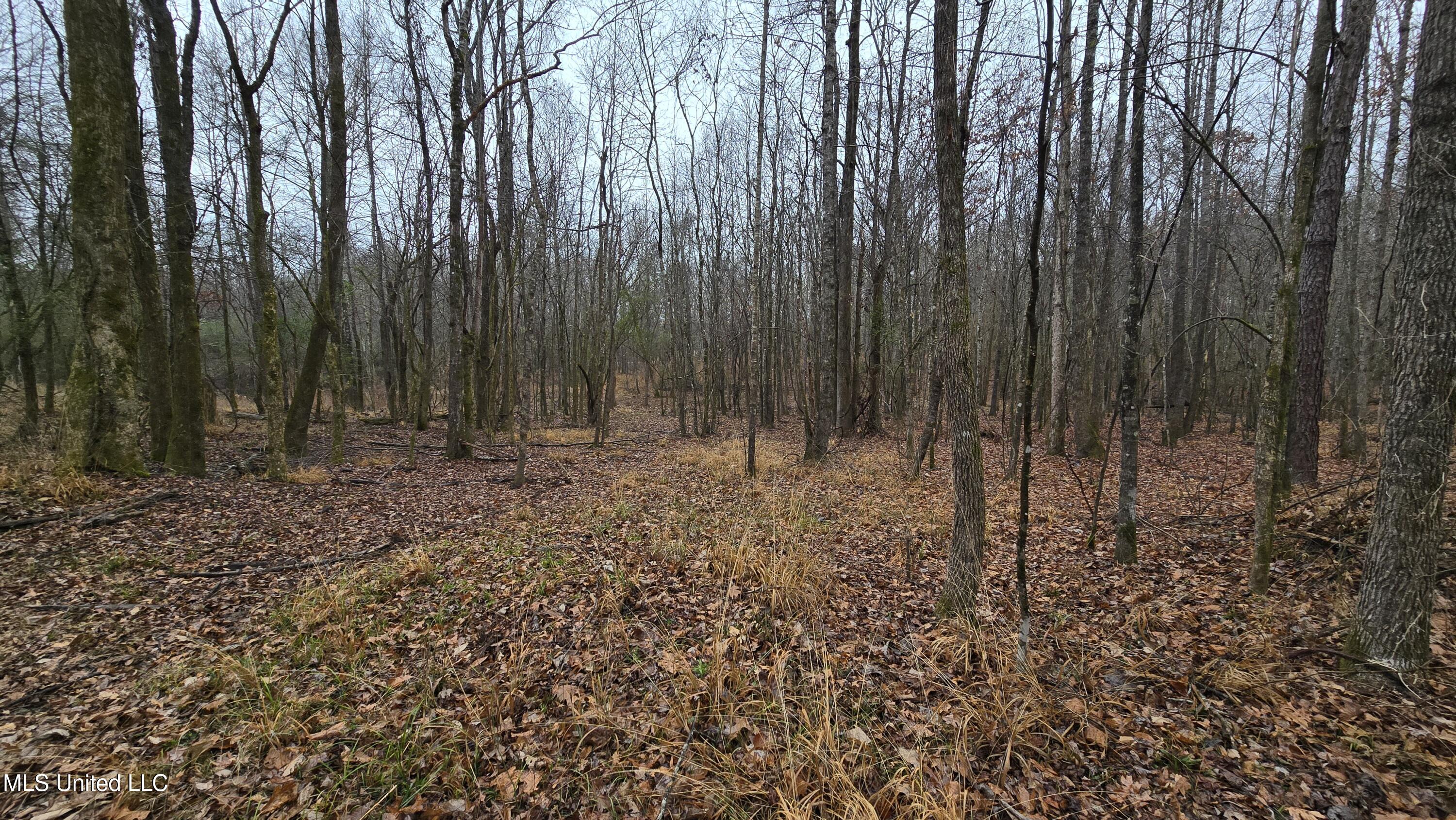 Brown Road Starkville, MS 39759 - Photo 15 of 43 20260114_120337