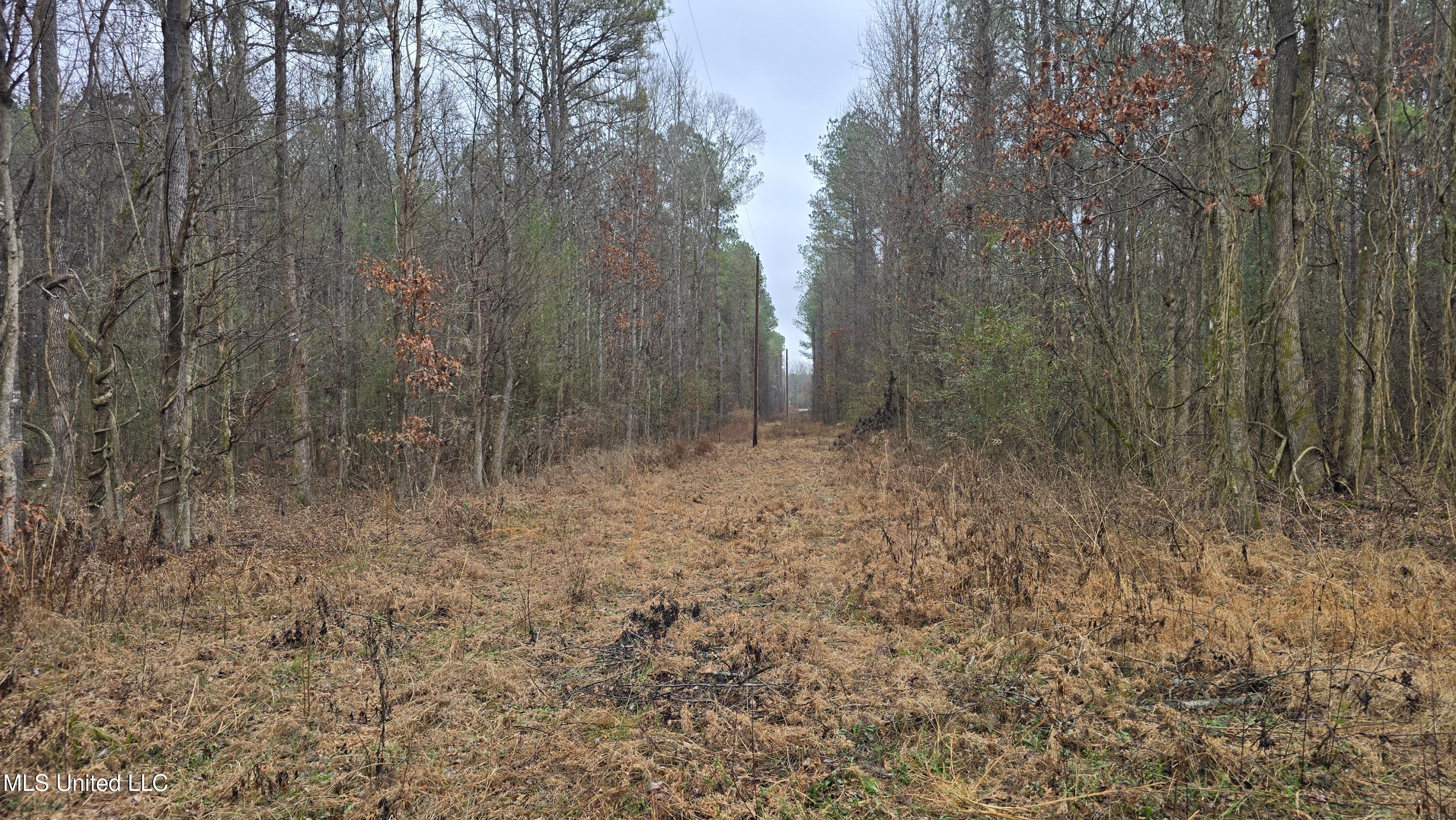 Brown Road Starkville, MS 39759 - Photo 16 of 43 20260114_120434