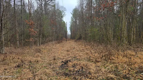 $206,000 | Brown Road, Starkville, MS 39759