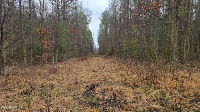 $206,000 | Brown Road, Starkville, MS 39759