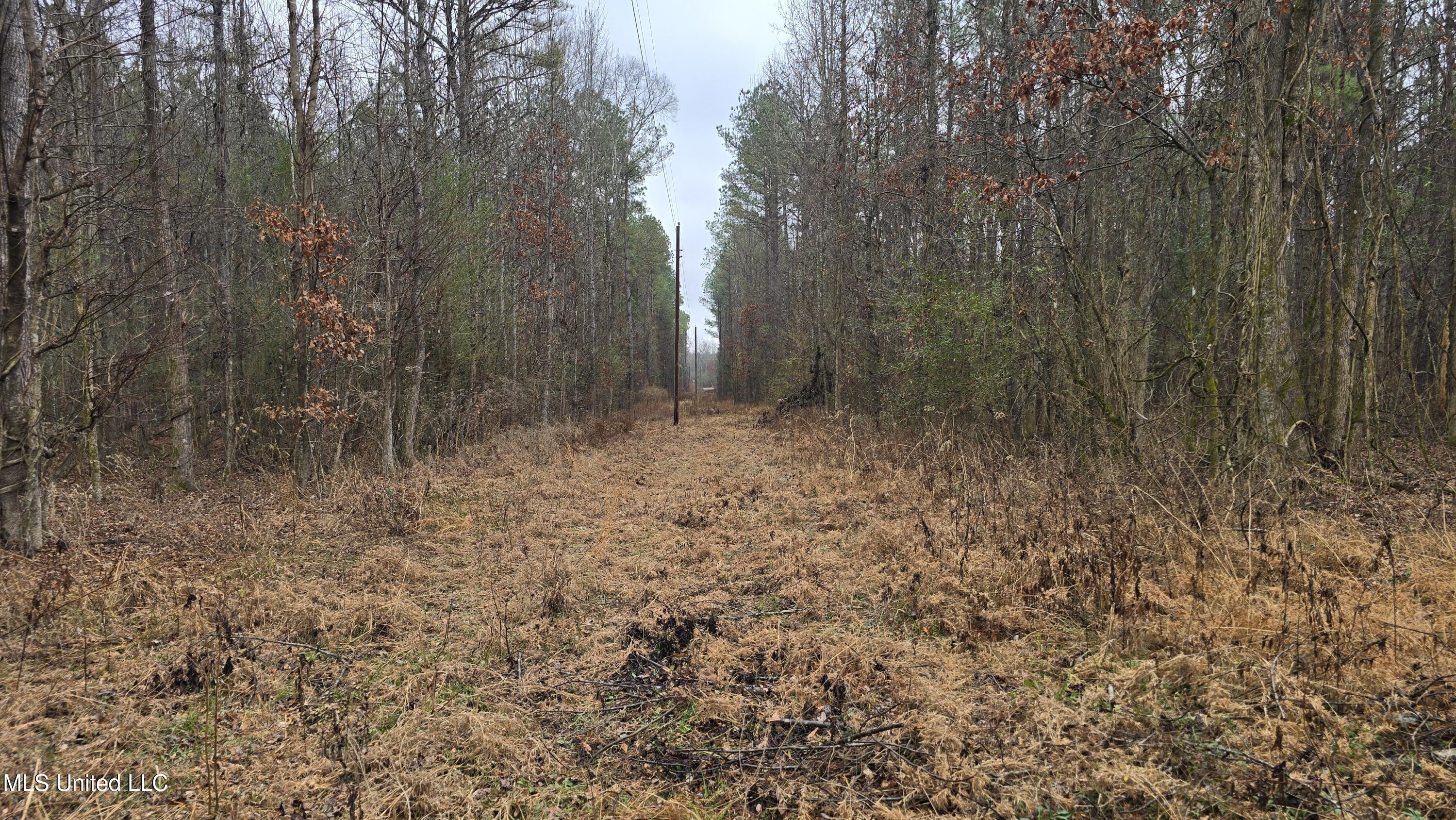 Brown Road Starkville, MS 39759 - Photo 17 of 43 20260114_120455
