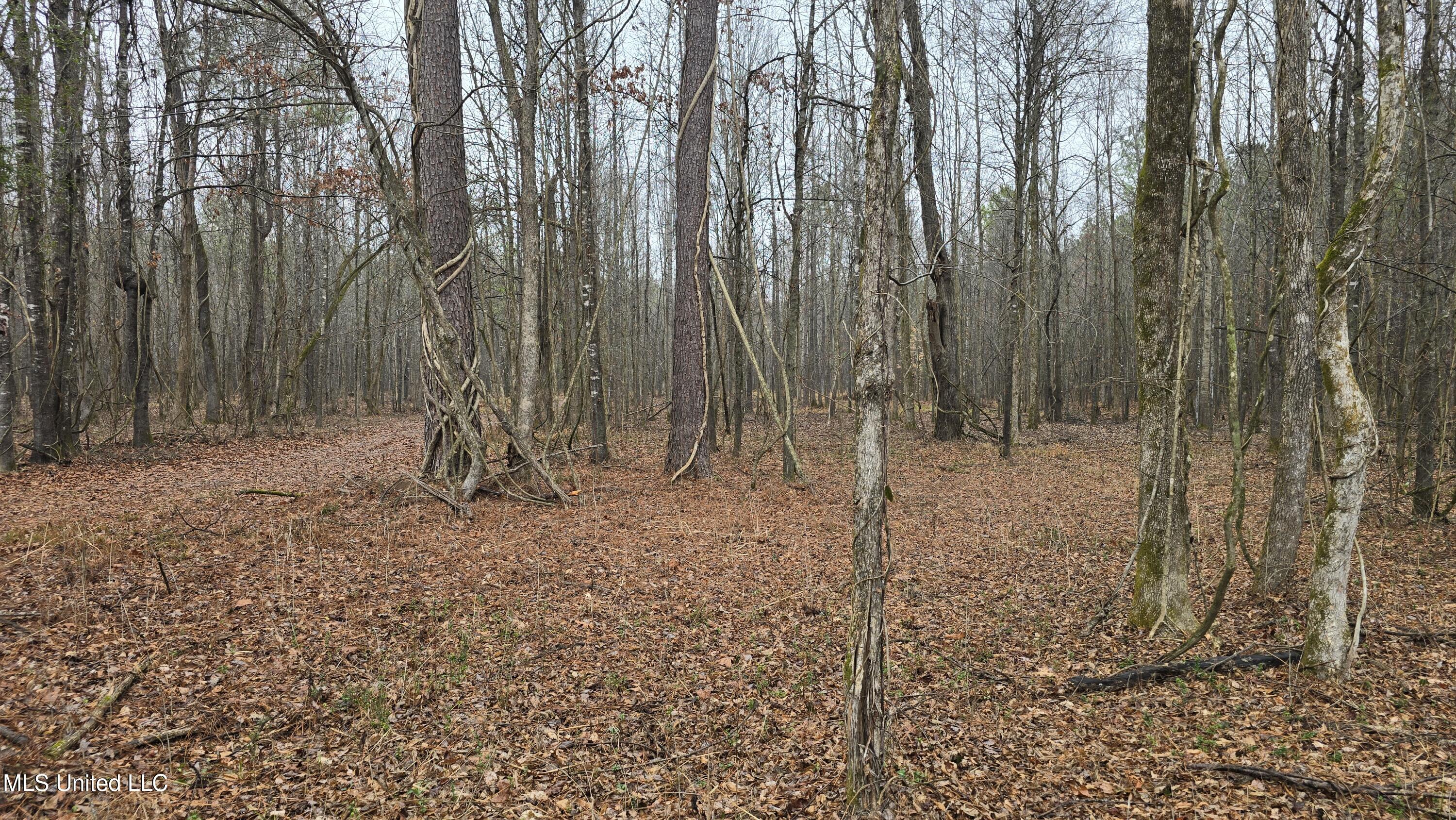 Brown Road Starkville, MS 39759 - Photo 18 of 43 20260114_120510