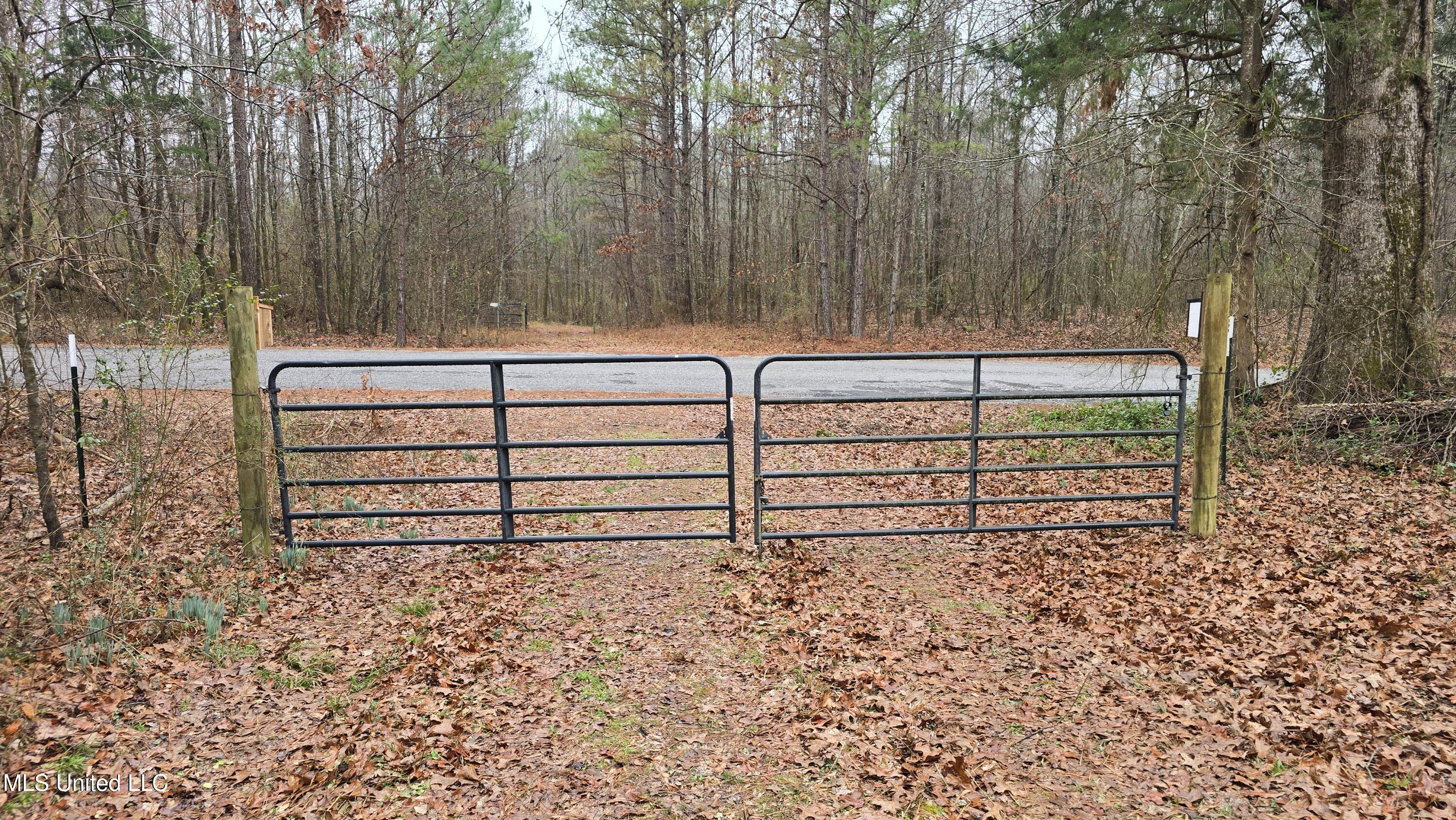 Brown Road Starkville, MS 39759 - Photo 19 of 43 20260114_121337