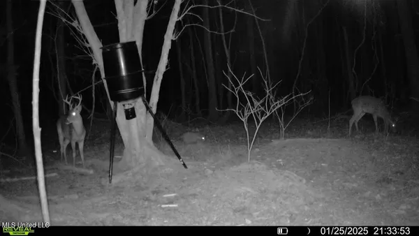 $206,000 | Brown Road, Starkville, MS 39759