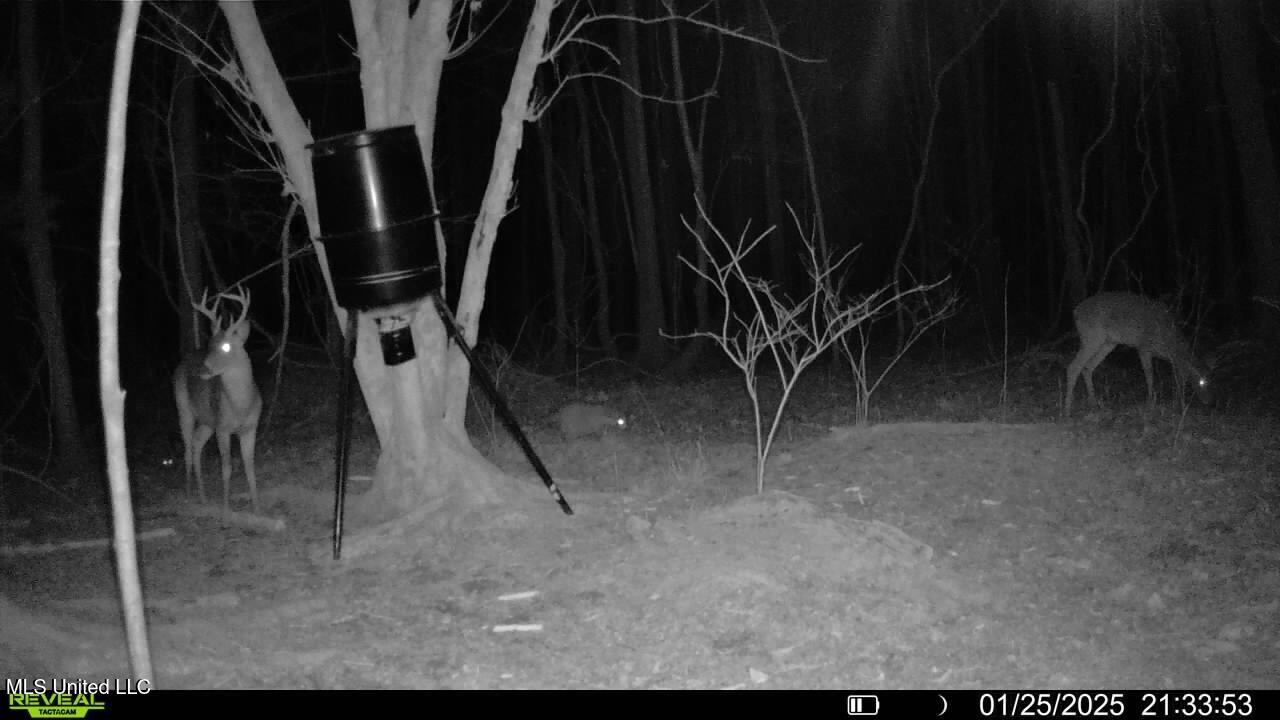 Brown Road Starkville, MS 39759 - Photo 20 of 43 016578002545470-46-3-01252025213353-V-SY