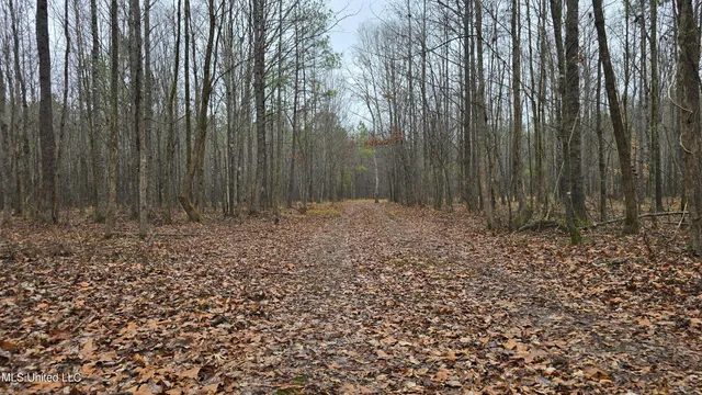 $206,000 | Brown Road, Starkville, MS 39759