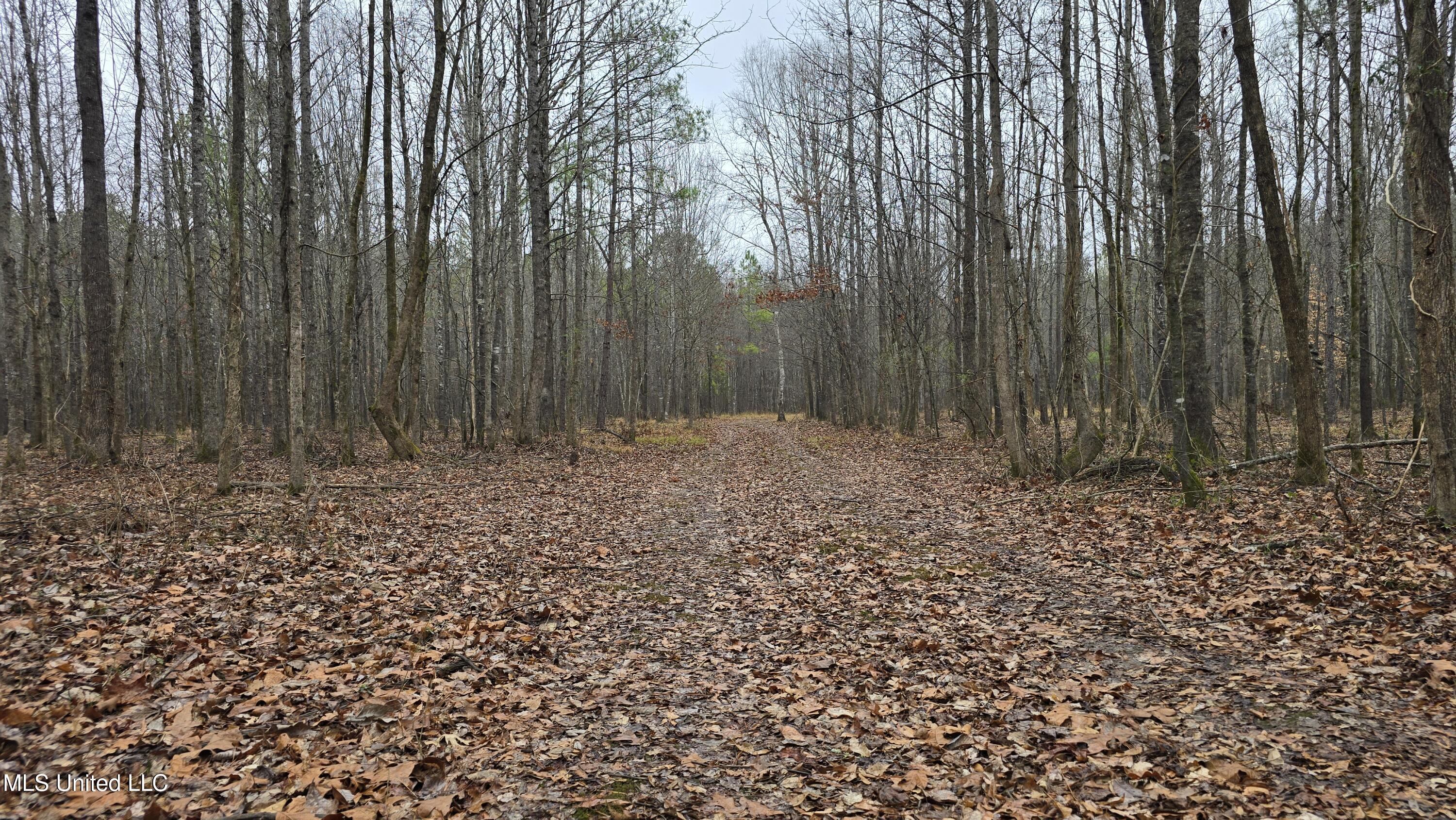 Brown Road Starkville, MS 39759 - Photo 2 of 43 20260114_113217