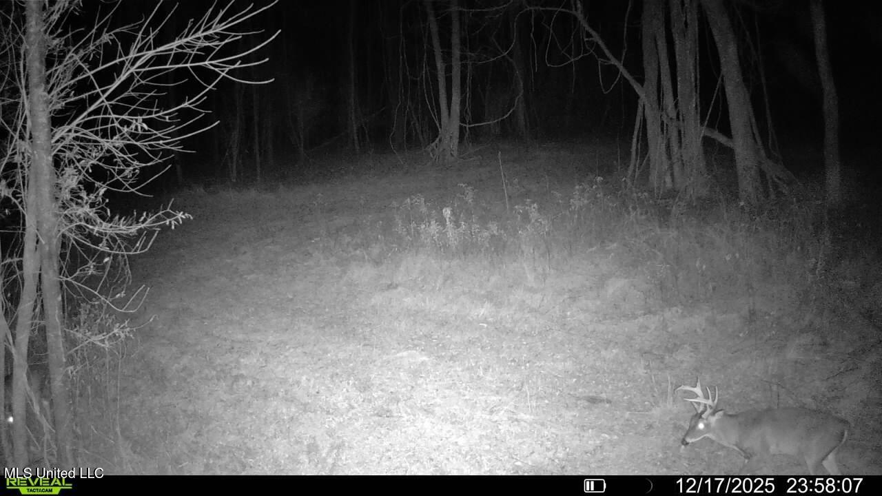 Brown Road Starkville, MS 39759 - Photo 22 of 43 016579008707221-39-3-12172025235807-V-SY