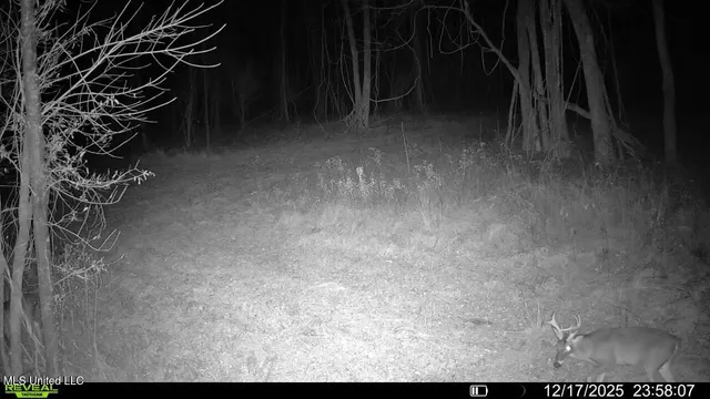 $206,000 | Brown Road, Starkville, MS 39759