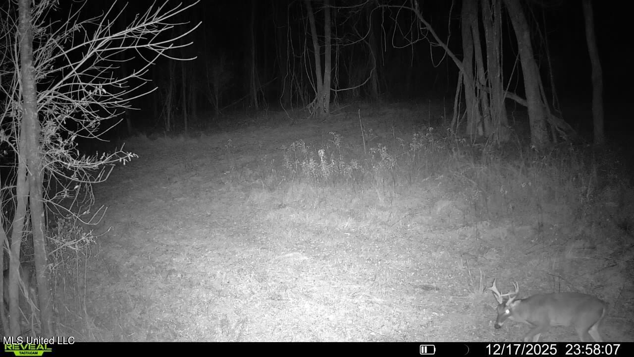 Brown Road Starkville, MS 39759 - Photo 23 of 43 016579008707221-39-3-12172025235807-V-SY