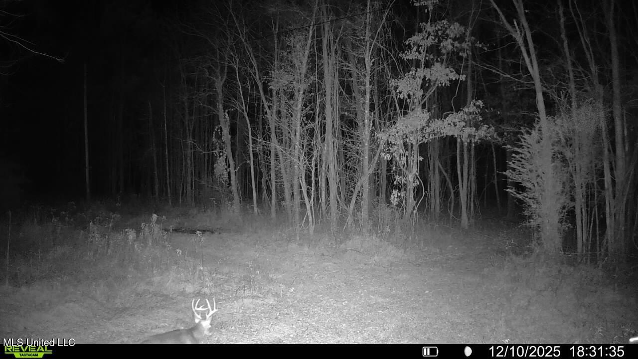 Brown Road Starkville, MS 39759 - Photo 24 of 43 016579008707221-47-3-12102025183135-V-SY