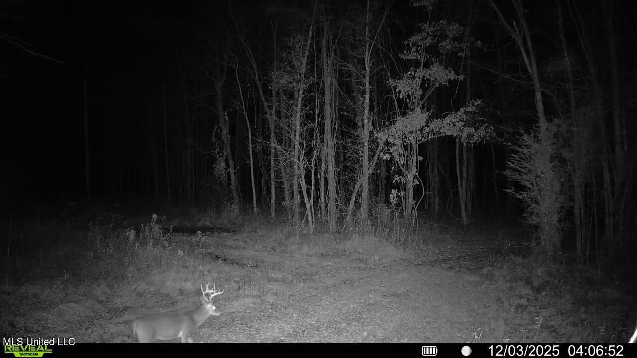 Brown Road Starkville, MS 39759 - Photo 27 of 43 016579008707221-78-2-12032025040652-V-SY