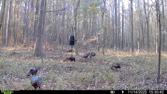 $206,000 | Brown Road, Starkville, MS 39759