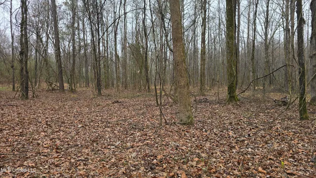 $206,000 | Brown Road, Starkville, MS 39759