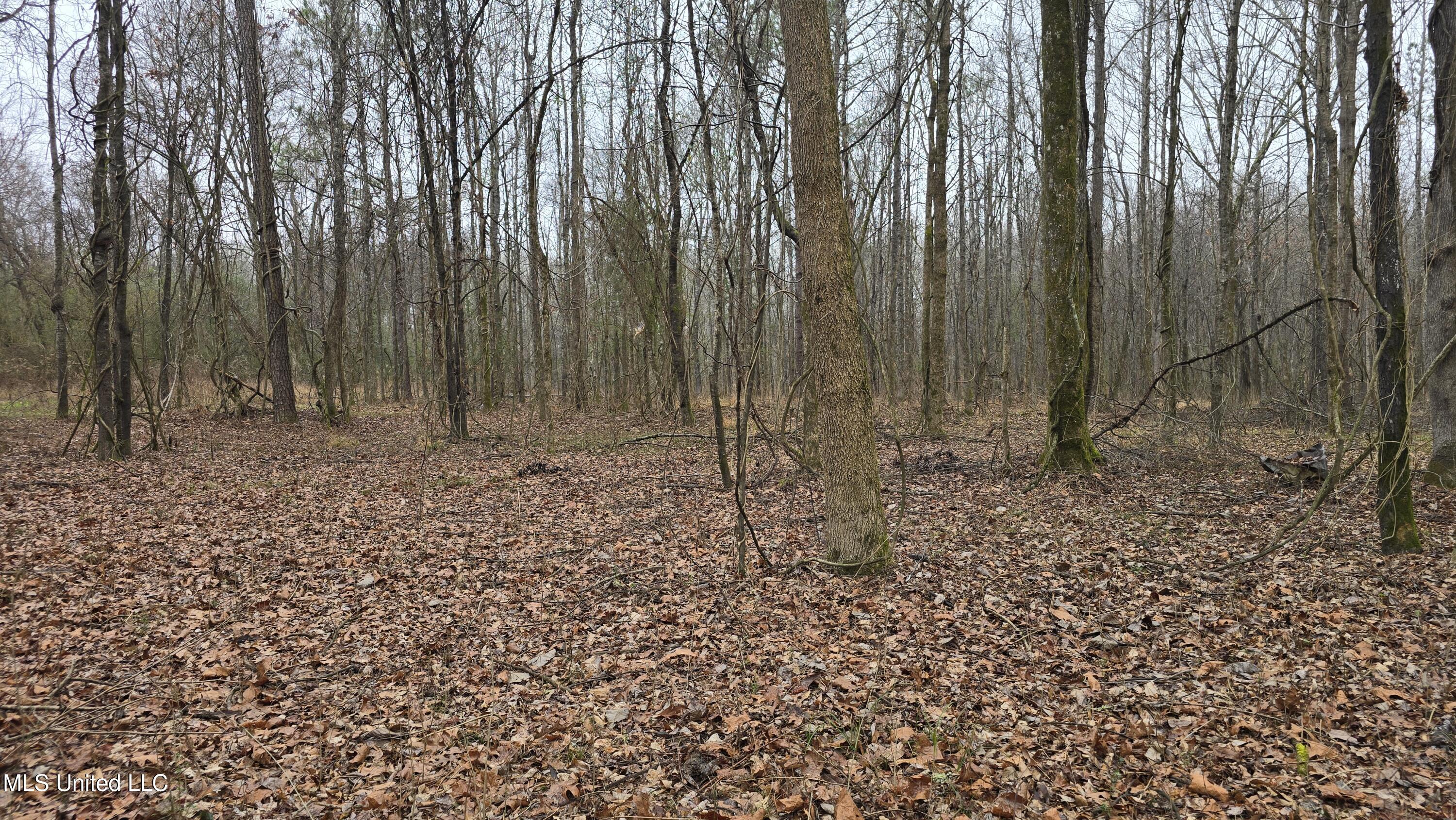 Brown Road Starkville, MS 39759 - Photo 3 of 43 20260114_113219