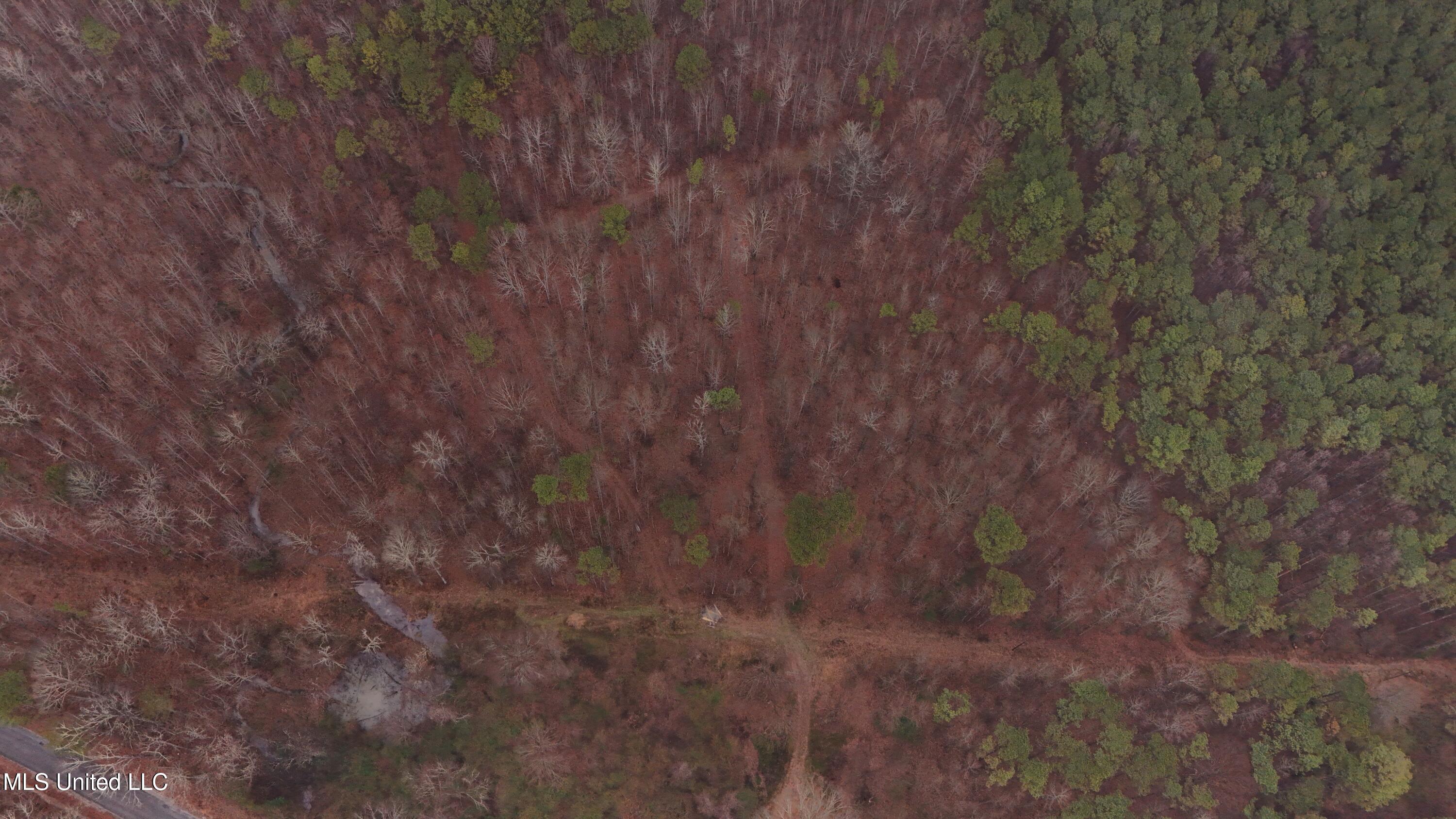 Brown Road Starkville, MS 39759 - Photo 33 of 43 DJI_20260114135531_0243_D