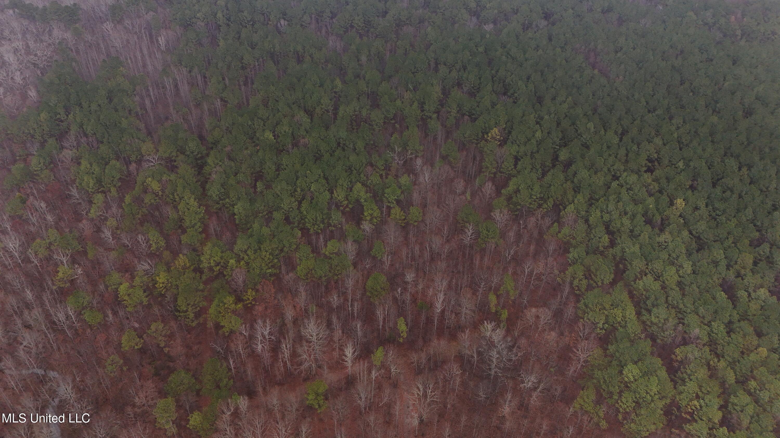 Brown Road Starkville, MS 39759 - Photo 34 of 43 DJI_20260114135540_0244_D
