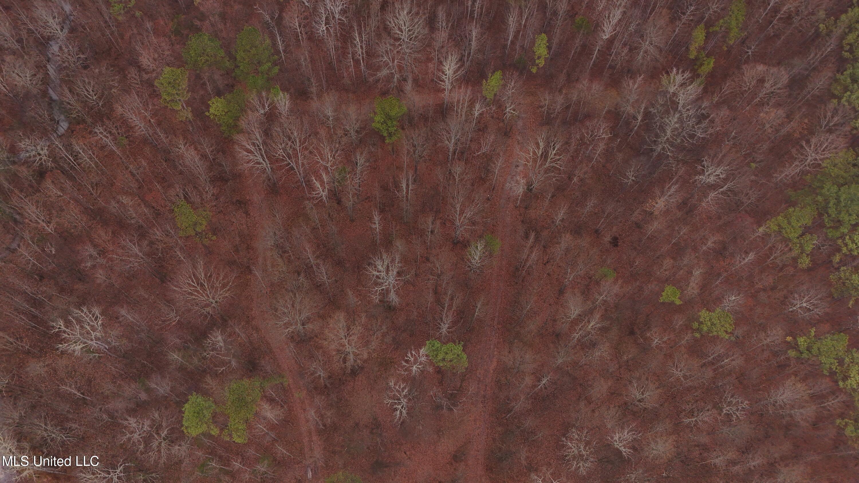 Brown Road Starkville, MS 39759 - Photo 35 of 43 DJI_20260114135549_0245_D