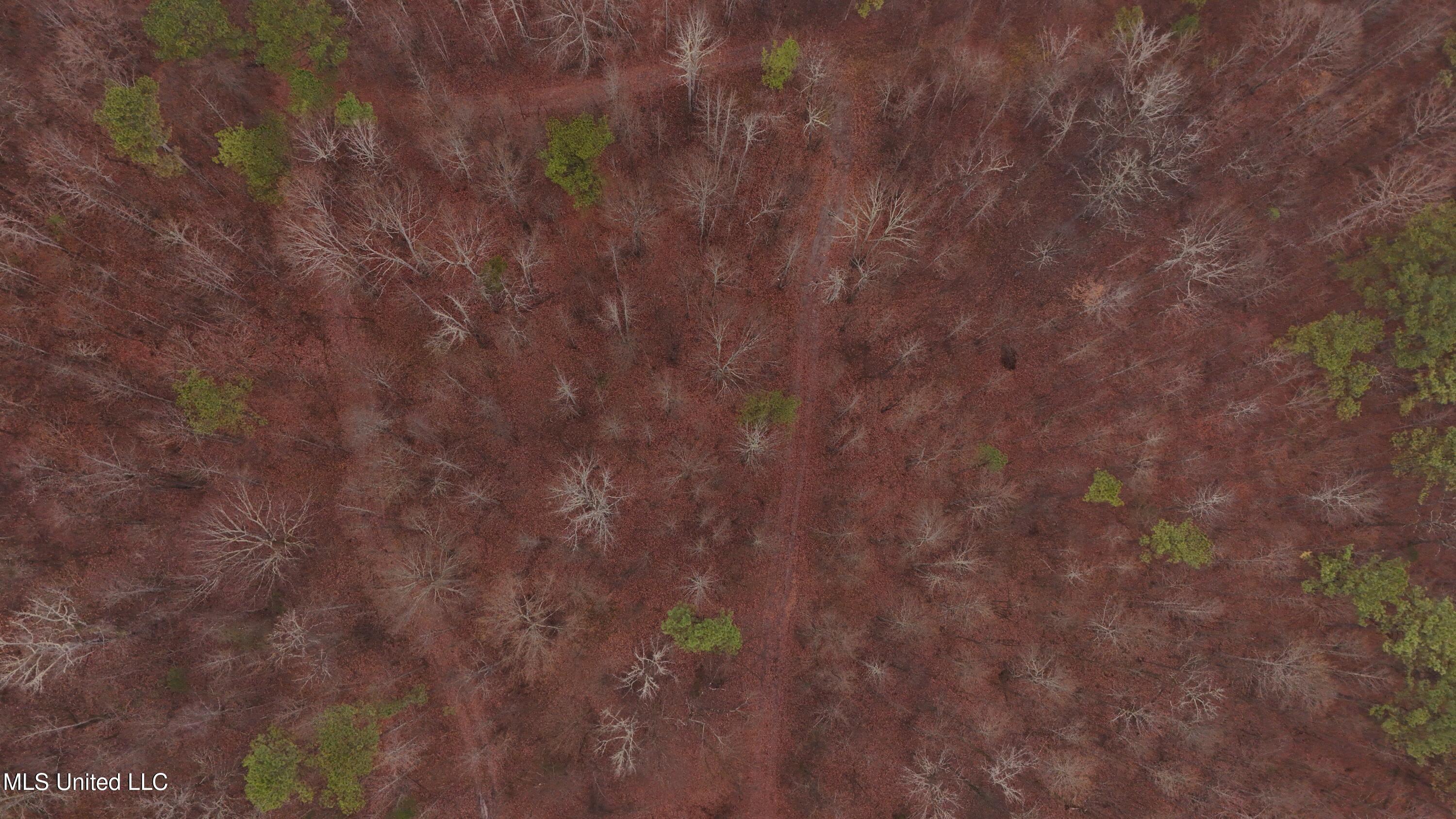 Brown Road Starkville, MS 39759 - Photo 36 of 43 DJI_20260114135556_0246_D