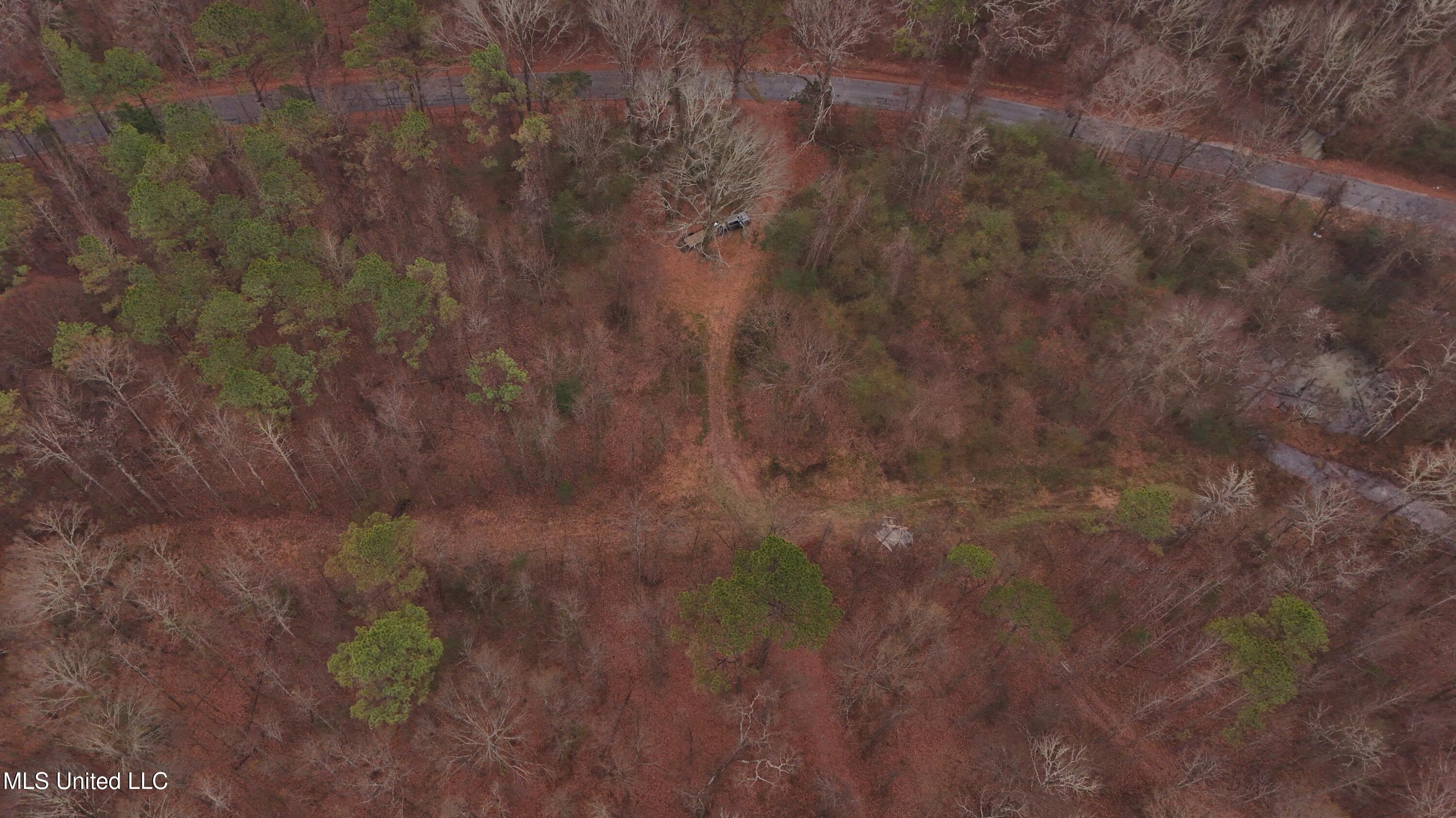 Brown Road Starkville, MS 39759 - Photo 37 of 43 DJI_20260114135612_0247_D