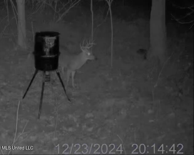 Brown Road Starkville, MS 39759 - Photo 40 of 43 Screenshot 2026-01-13 at 10.42.28