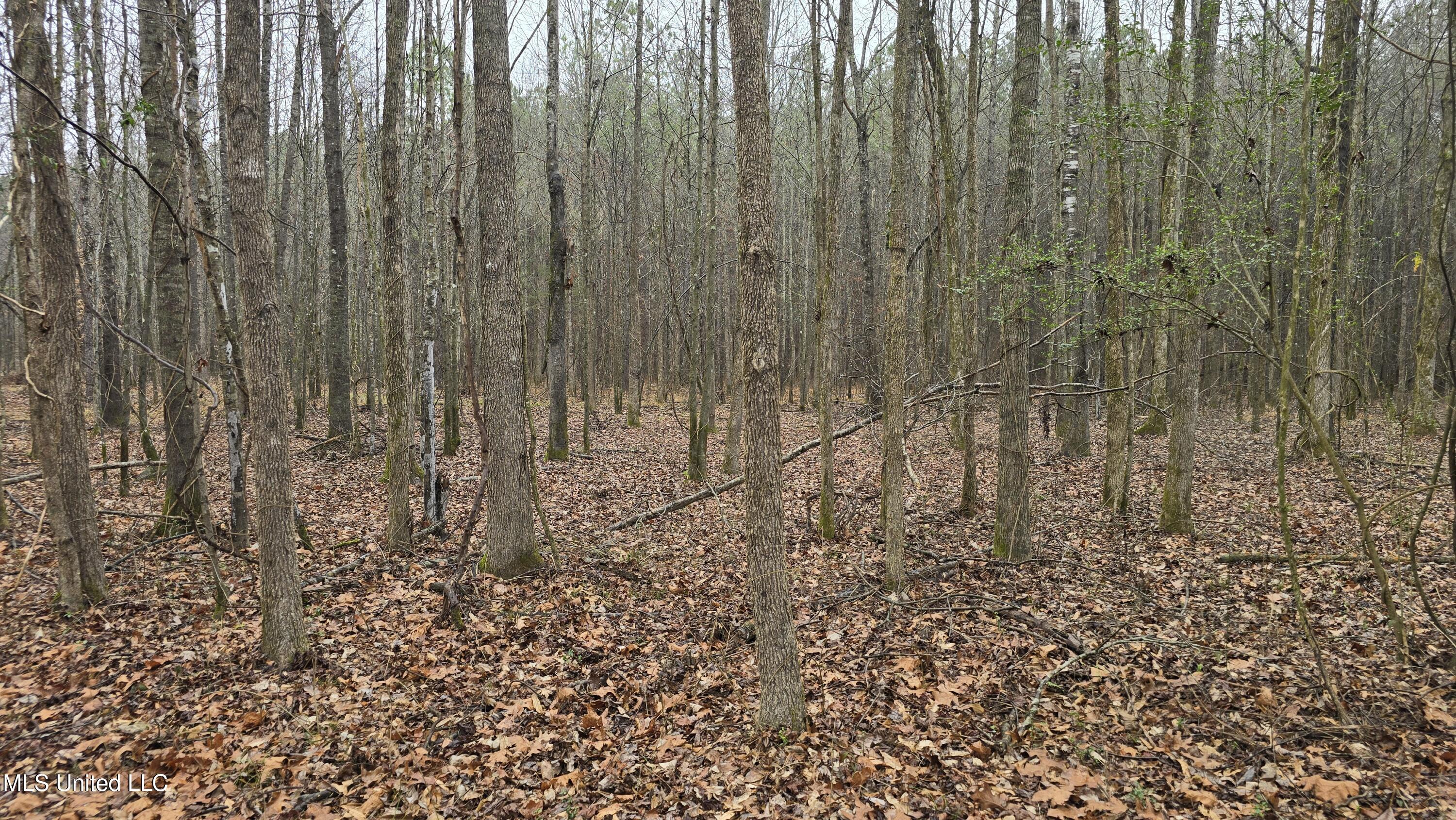 Brown Road Starkville, MS 39759 - Photo 4 of 43 20260114_113223