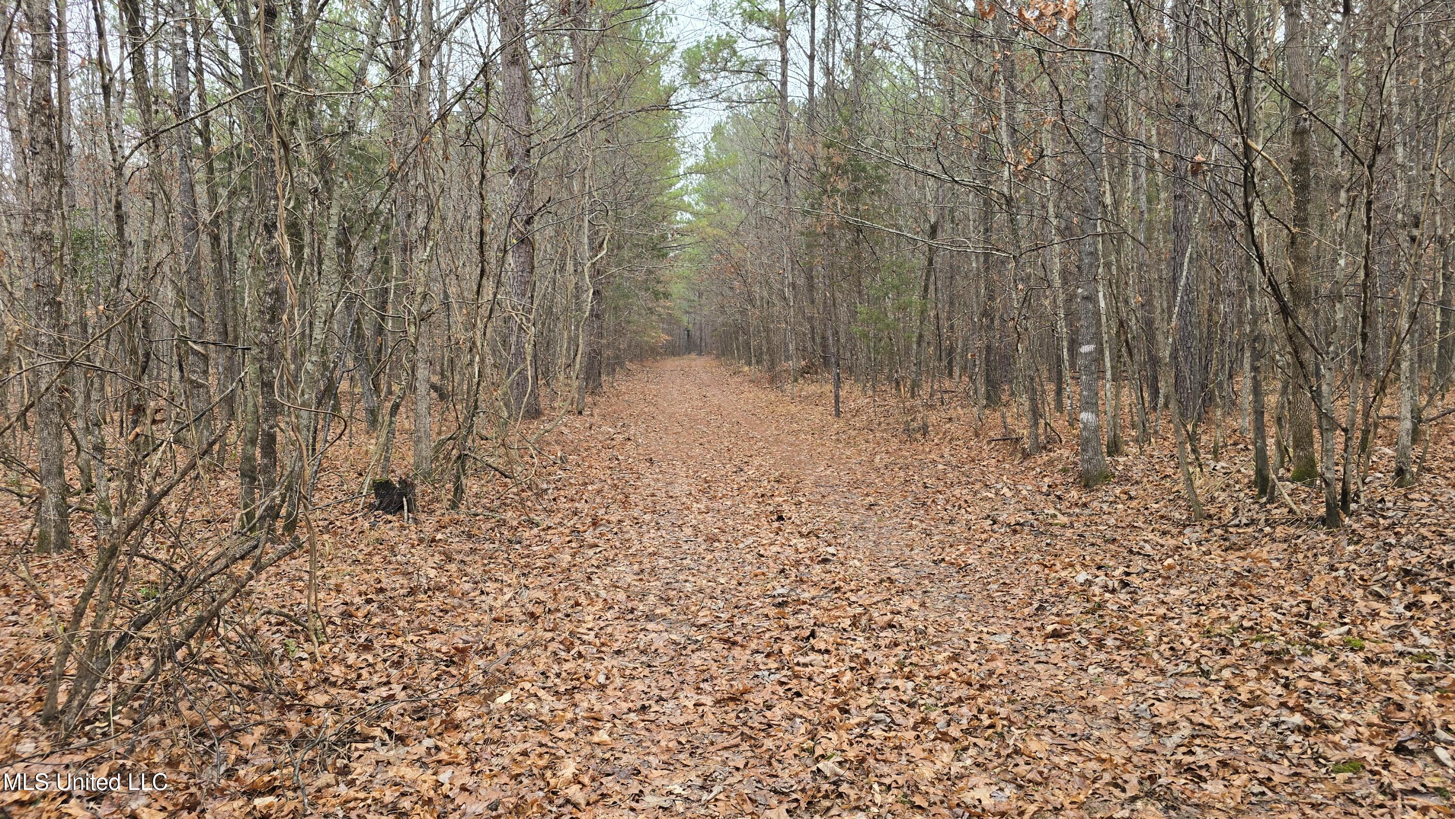 Brown Road Starkville, MS 39759 - Photo 5 of 43 20260114_113343