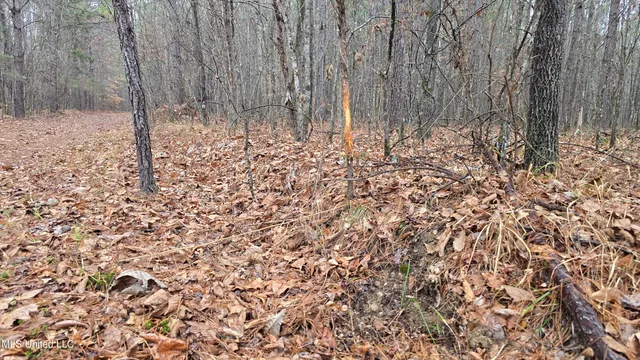 $206,000 | Brown Road, Starkville, MS 39759