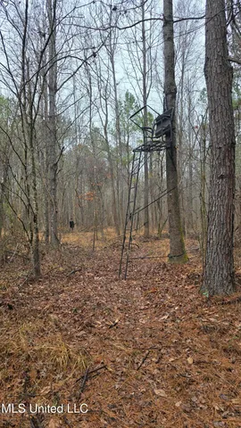 $206,000 | Brown Road, Starkville, MS 39759