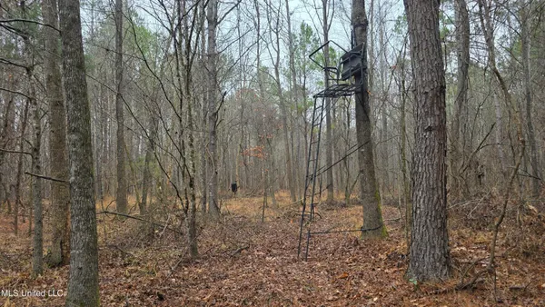 $206,000 | Brown Road, Starkville, MS 39759