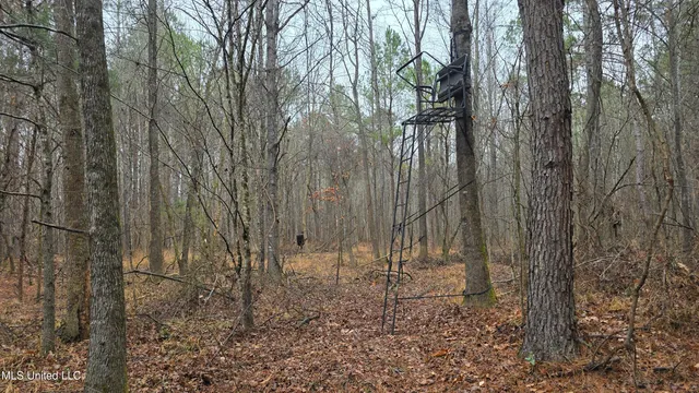 $206,000 | Brown Road, Starkville, MS 39759