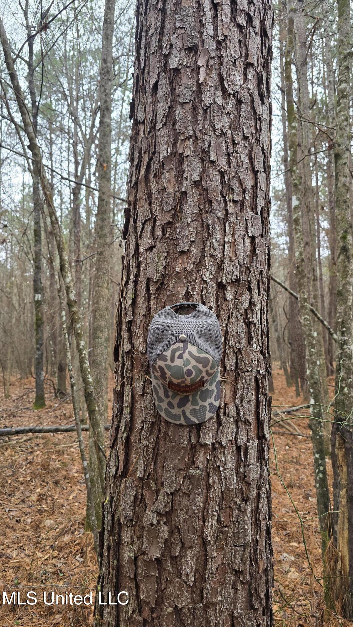 Brown Road Starkville, MS 39759 - Photo 9 of 43 20260114_113630