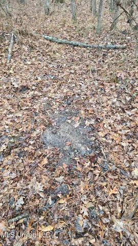 $206,000 | Brown Road, Starkville, MS 39759