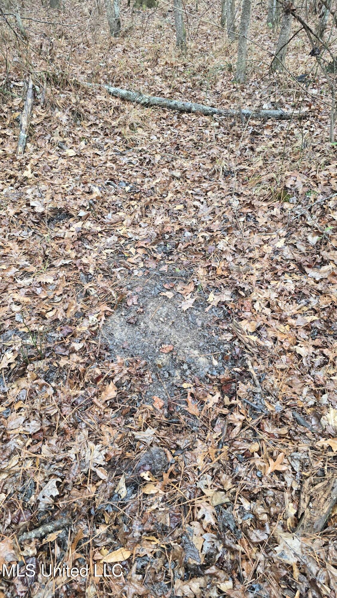 Brown Road Starkville, MS 39759 - Photo 10 of 43 20260114_113846