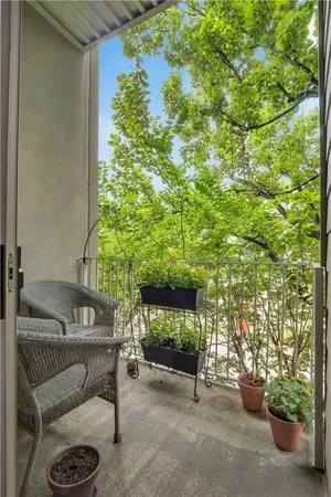 a view of backyard with trampoline