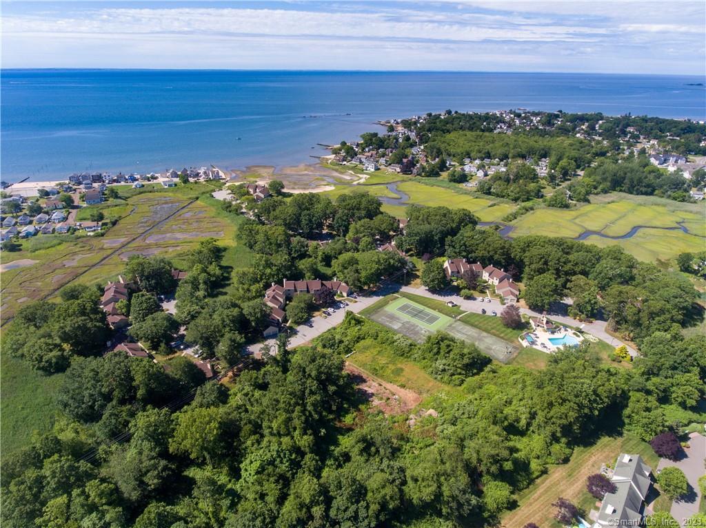 a view of a garden with an ocean beach