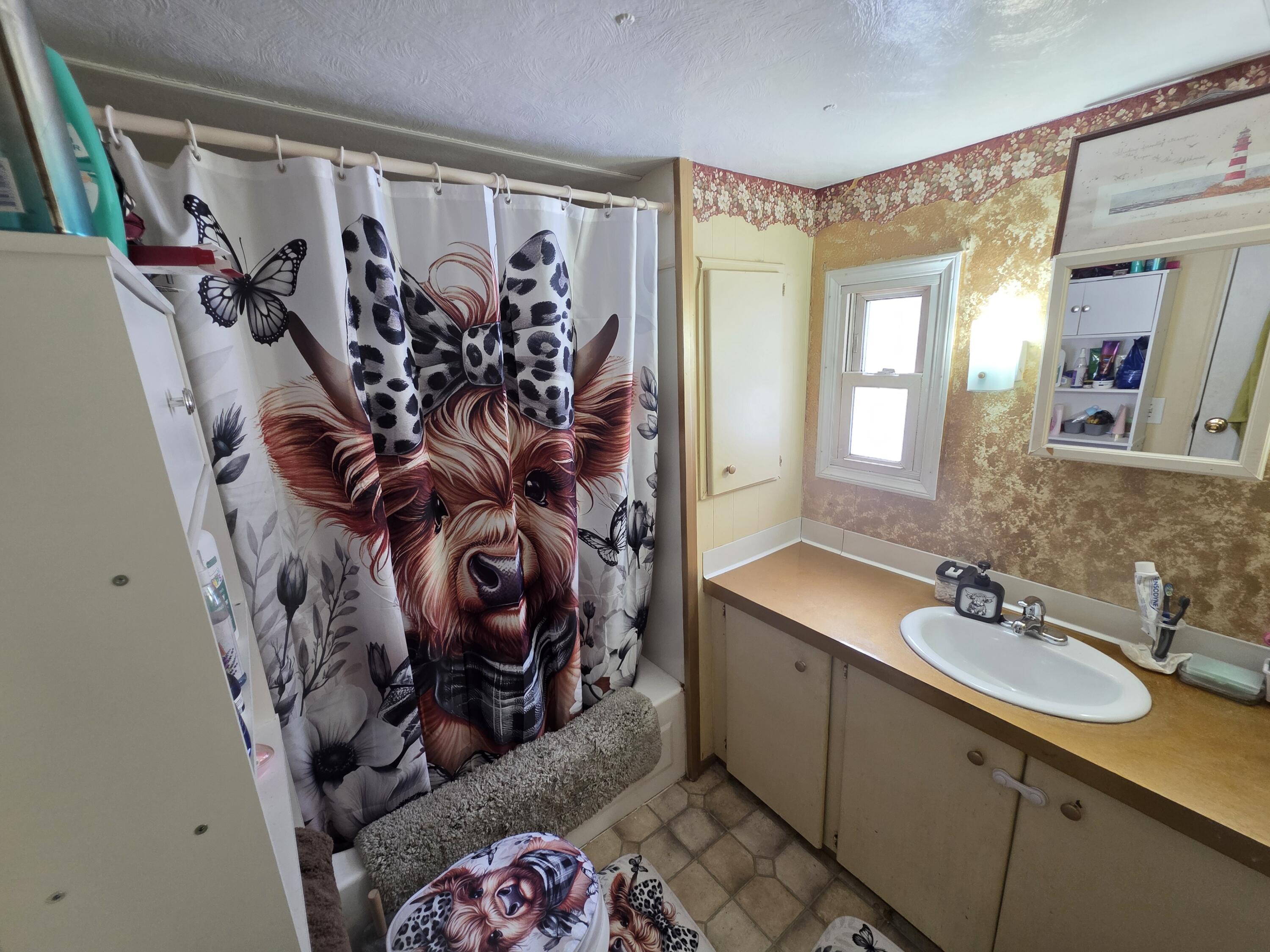 46 Cedar Street Millinocket, ME 04462 - Photo 33 of 40 bathroom 1 (1)