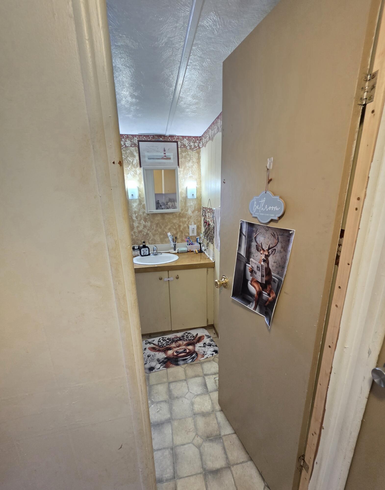 46 Cedar Street Millinocket, ME 04462 - Photo 35 of 40 bathroom entry from hall (1)