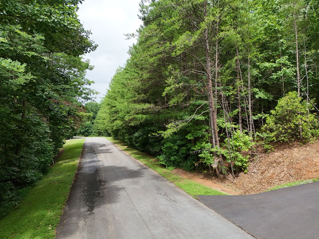Lot 5 East Ridge Lane Ellijay, GA 30536 - Photo 12 of 24 Gallery Image 12