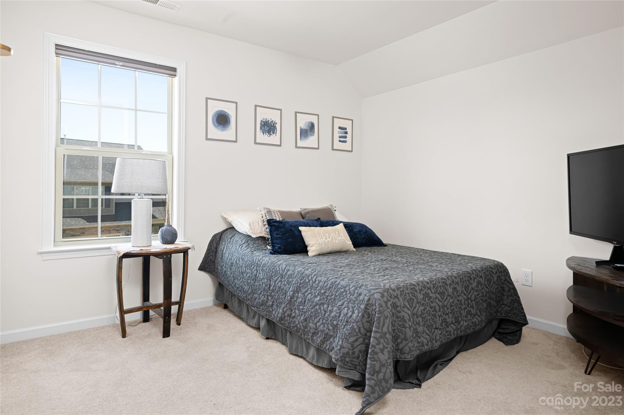3 Ringed Teal Court Arden, NC 28704 - Photo 28 of 41 Gallery Image 28
