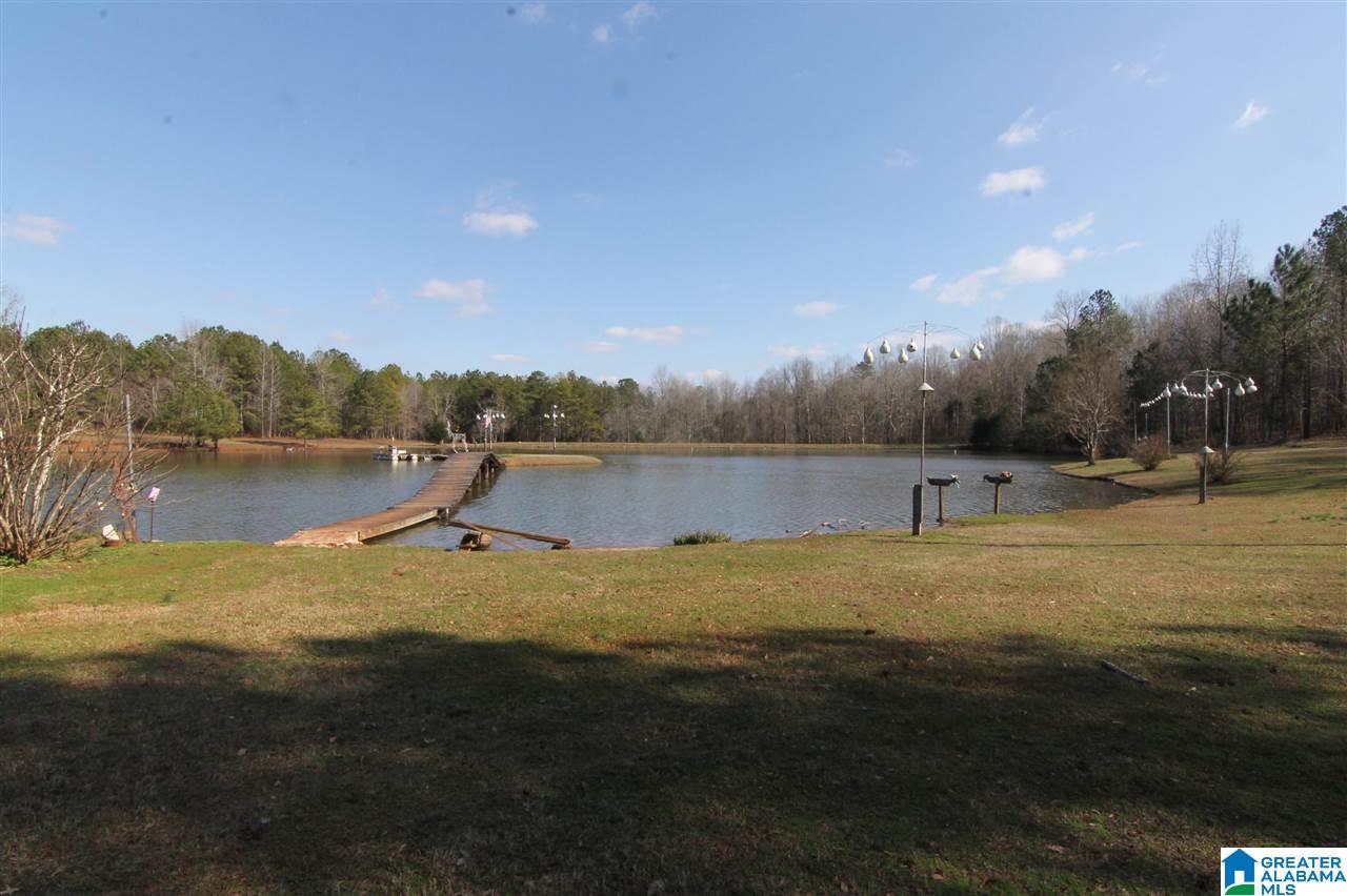 9276 County Road 2 Waverly, AL 36879 - Photo 4 of 38
