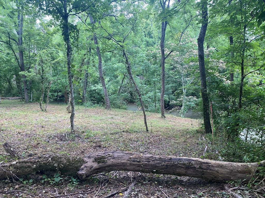 12 Pollard Road Kodak, TN 37764 - Photo 1 of 12 Gallery Image 1