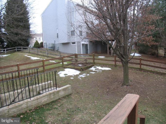 Back yard