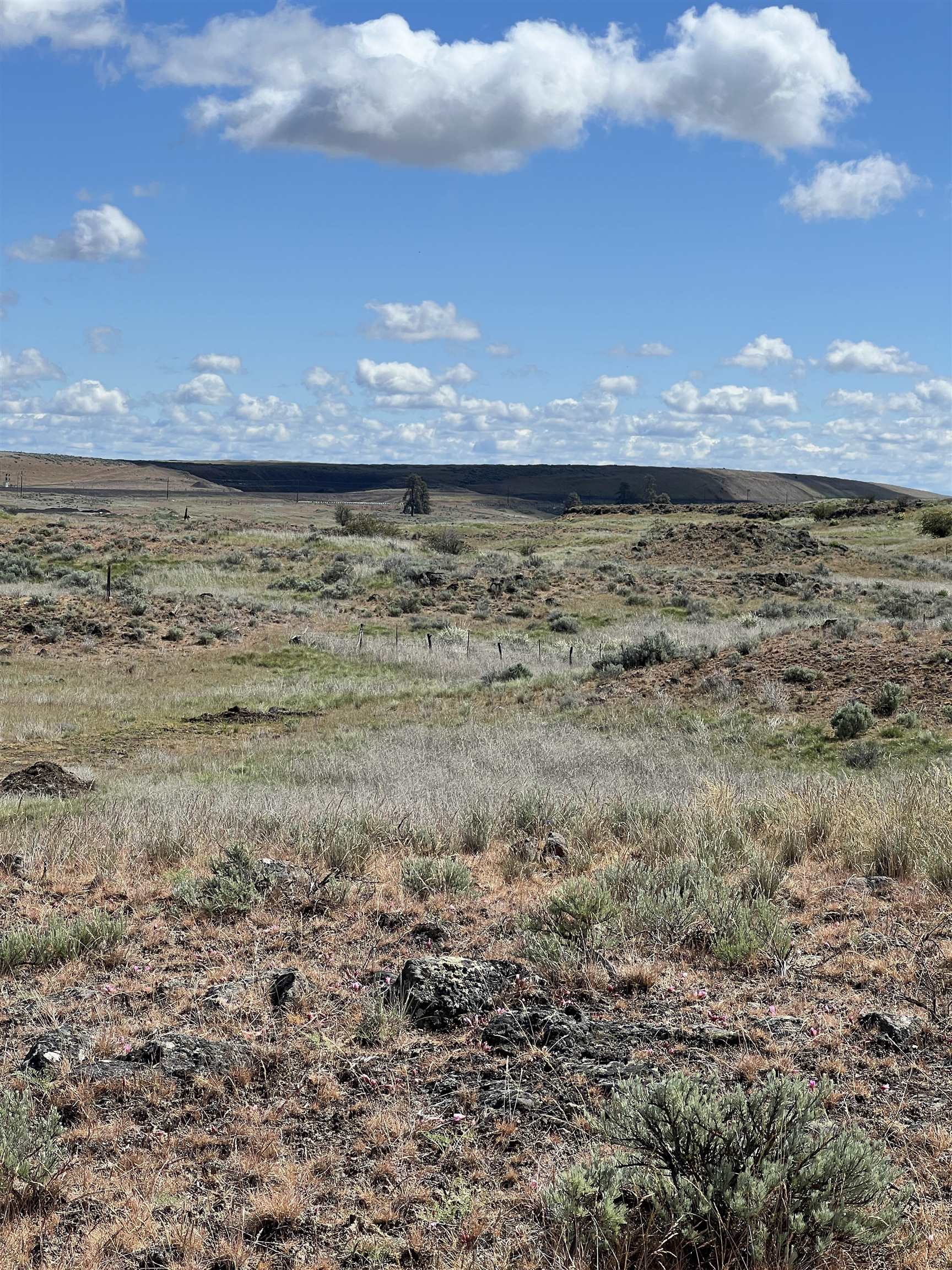 Tbd Tbd Glascock Street Sprague, WA 99032 - Photo 4 of 10