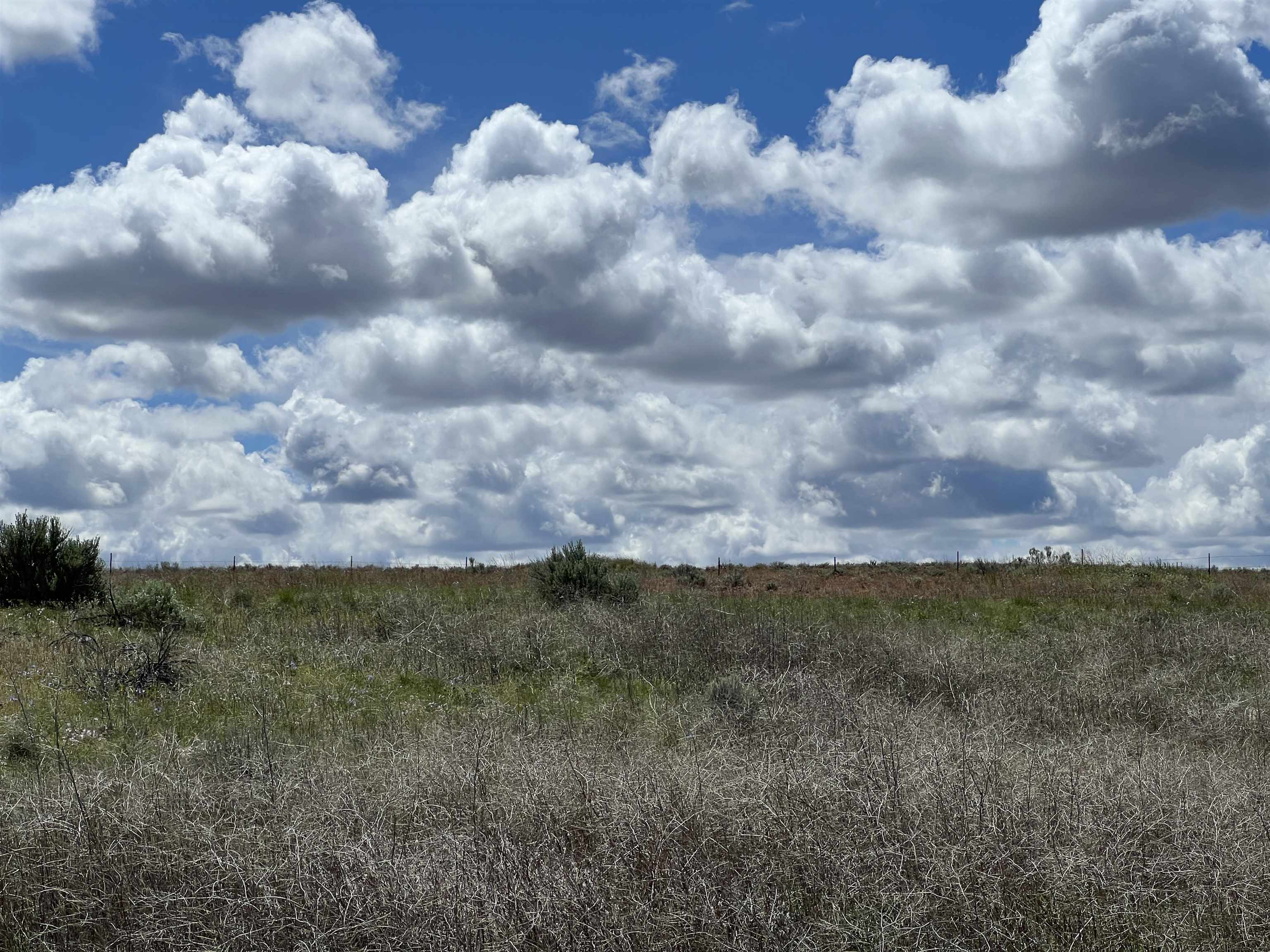 Tbd Tbd Glascock Street Sprague, WA 99032 - Photo 6 of 10